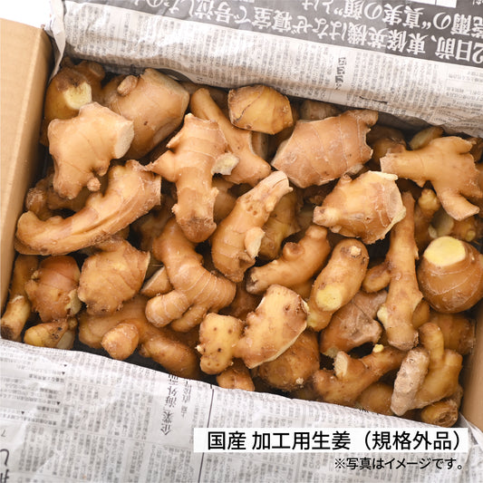 加工用生姜(規格外品)業務用4kg