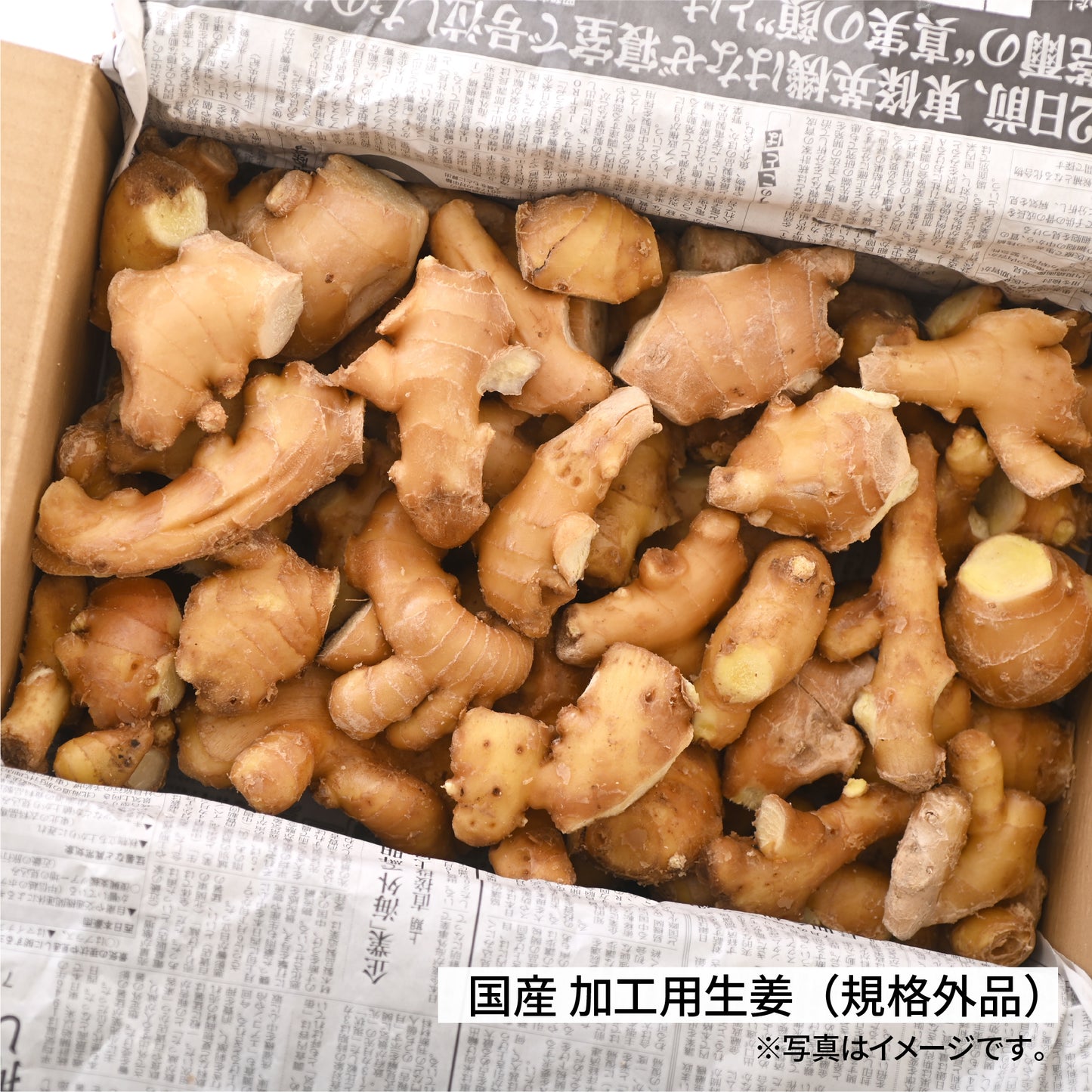 加工用生姜（規格外品）業務用4kg