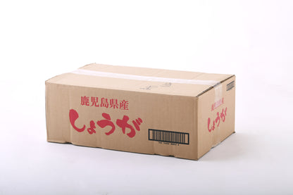 加工用生姜（規格外品）　業務用4kg